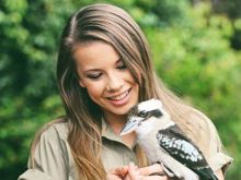 Bindi Irwin #726843 picture (Landscape Medium)