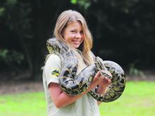 Bindi Irwin #726849 picture (Landscape Medium)
