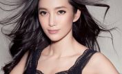 Bingbing Li