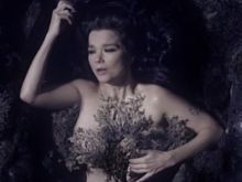 Björk