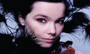 Björk