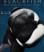 Blackfish