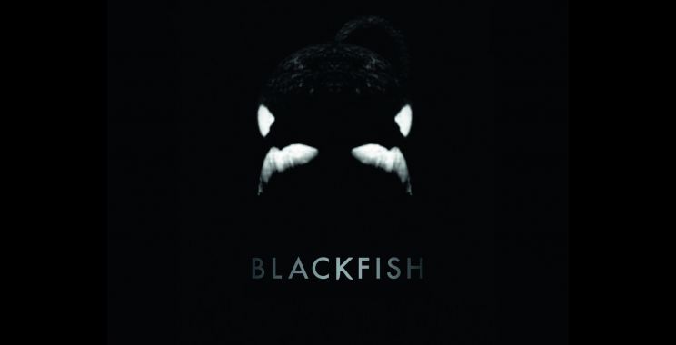 Blackfish