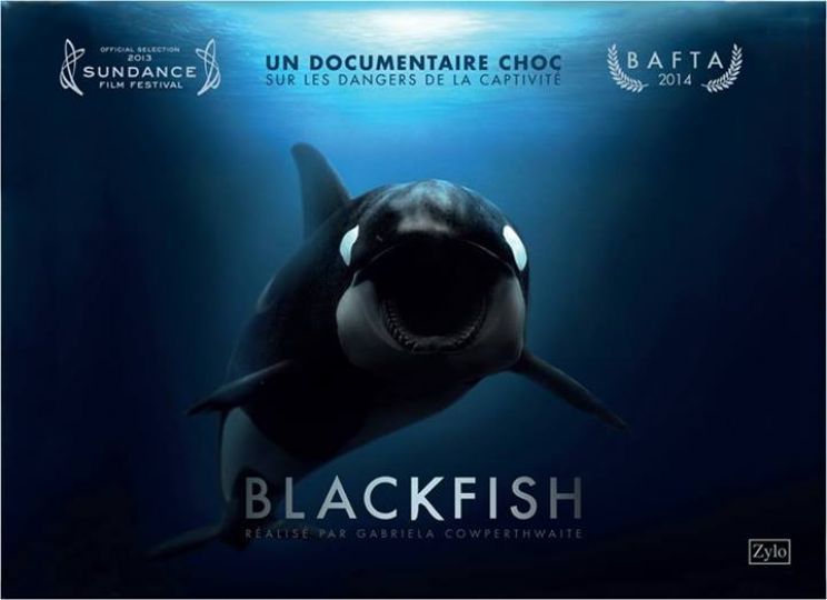 Blackfish