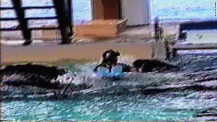 Blackfish