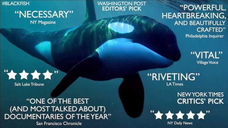 Blackfish