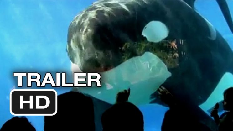 Blackfish