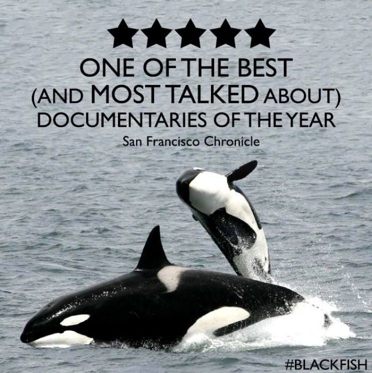 Blackfish
