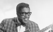 Bo Diddley