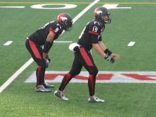 Bo Mitchell