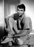 Bob Denver