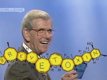 Bob Holness