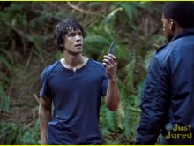 Bob Morley