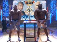 Bob Sapp #542128 picture (Landscape Medium)
