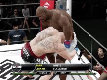 Bob Sapp