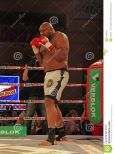 Bob Sapp