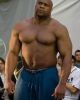 Bob Sapp