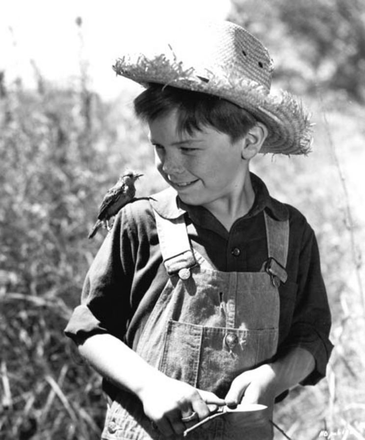 Bobby Driscoll