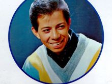 Bobby Goldsboro