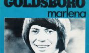 Bobby Goldsboro