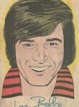 Bobby Sherman