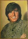 Bobby Sherman