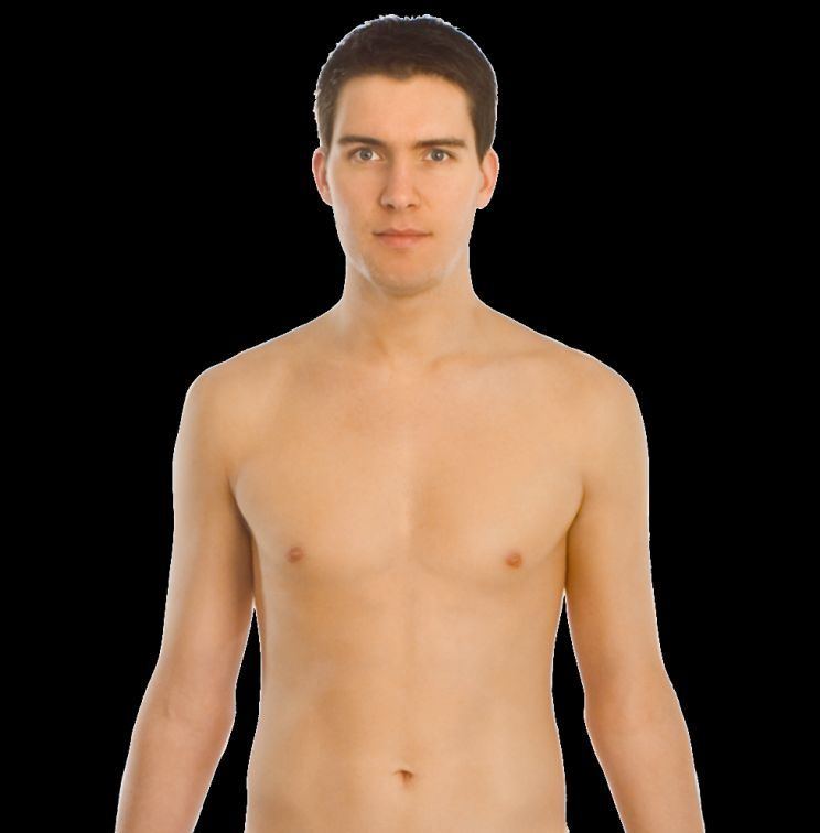Body