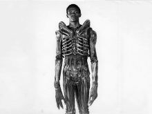 Bolaji Badejo photo