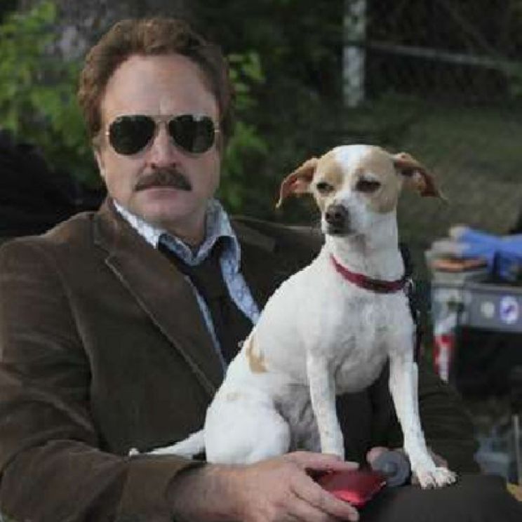 Bradley Whitford