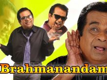 Brahmanandam #3358416 picture (Landscape Medium)