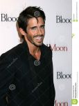 Brandon Beemer