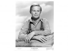 Brandon De Wilde