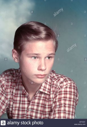 Brandon De Wilde