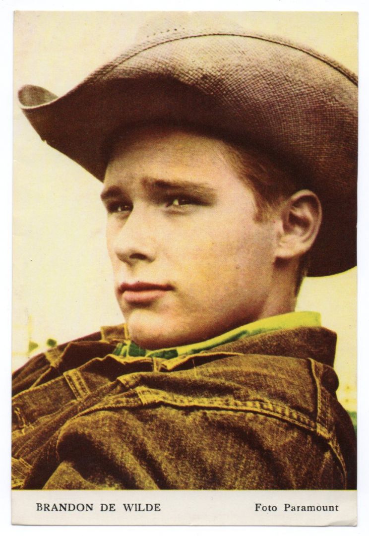 Brandon De Wilde
