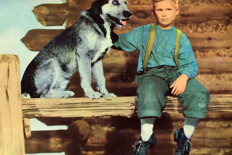Brandon De Wilde