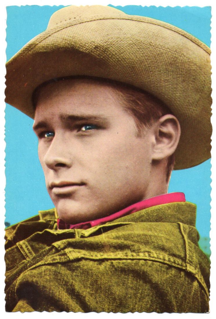 Brandon De Wilde