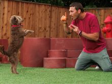 Brandon McMillan