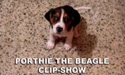 Breezy the Beagle