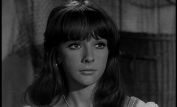 Brenda Scott