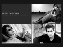 Brendan Fehr