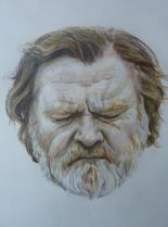 Brendan Gleeson #74724 picture (Portrait Medium)