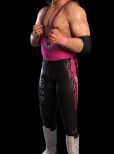 Bret Hart