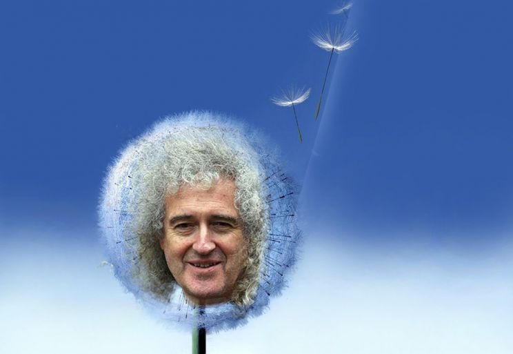 Brian May