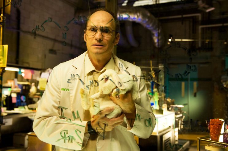 Brian Stepanek