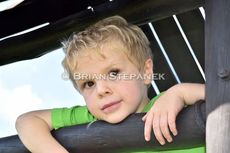 Brian Stepanek