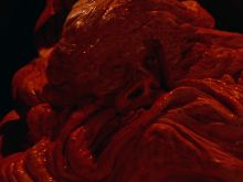 Brian Yuzna