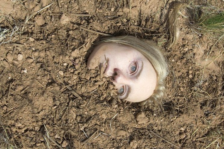Brighid Fleming