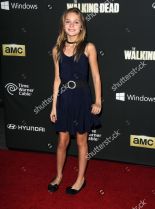 Brighton Sharbino