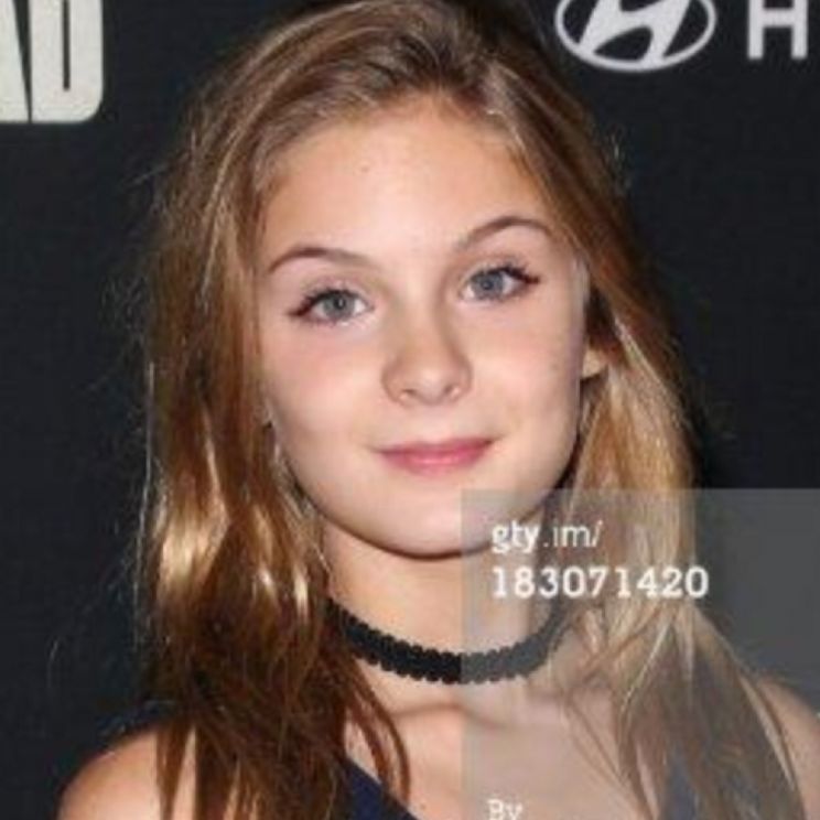 Brighton Sharbino