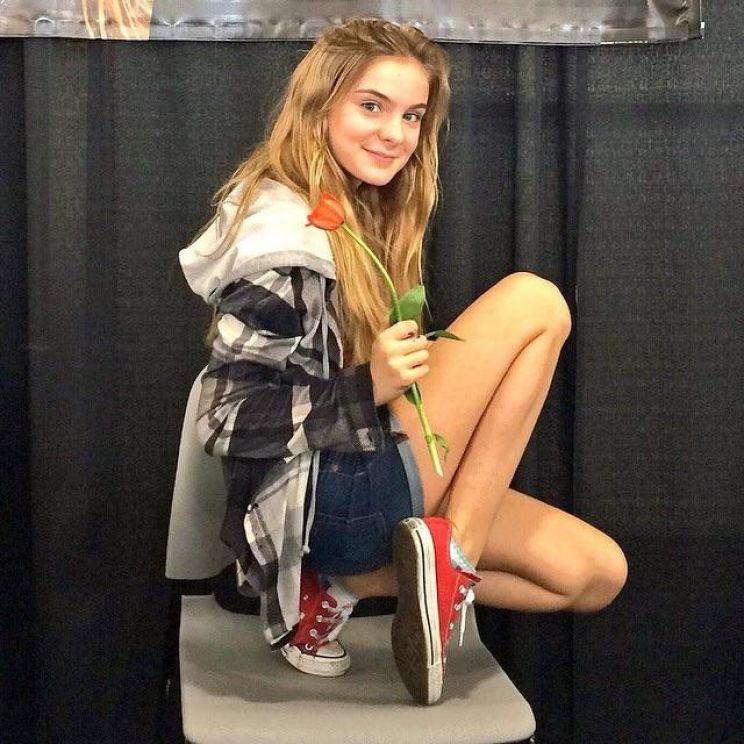 Brighton Sharbino